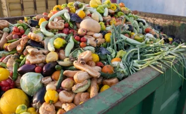 В ООН предложили вдвое сократить пищевые отходы к 2030 году