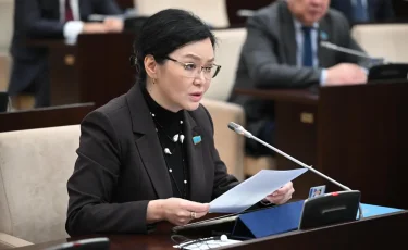 Сложилась монополия – сенатор о проверках водителей на опьянение